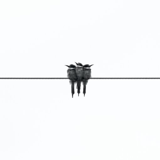 DDCommunity: Christ is relevant to feelings