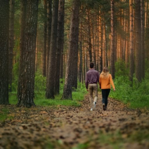 DDCommunity: Bearing with One Another