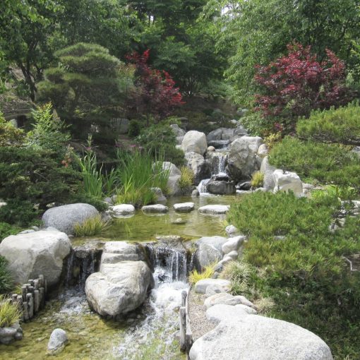 DDCommunity: Psalm 25 Prayer Pattern to Complete What is Missing