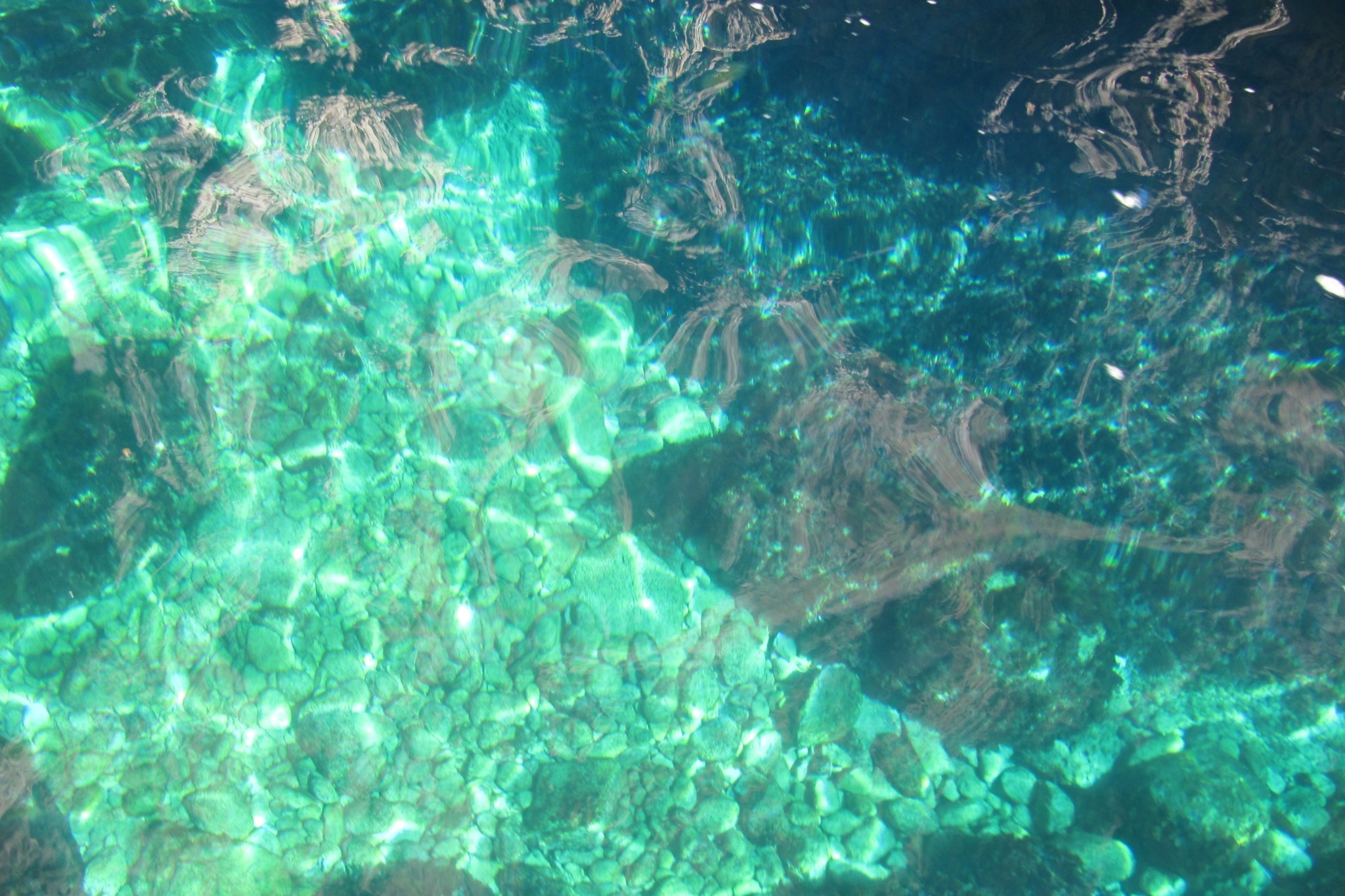 DDC: Think These Things - Whatever is Pure