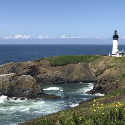 DDCommunity: Find Christ Relevant to Every Area of Life