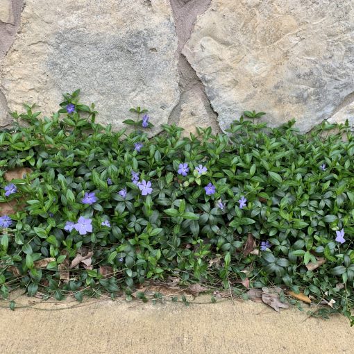 DDCommunity: Am I the Problem That Stagnates My Growth?