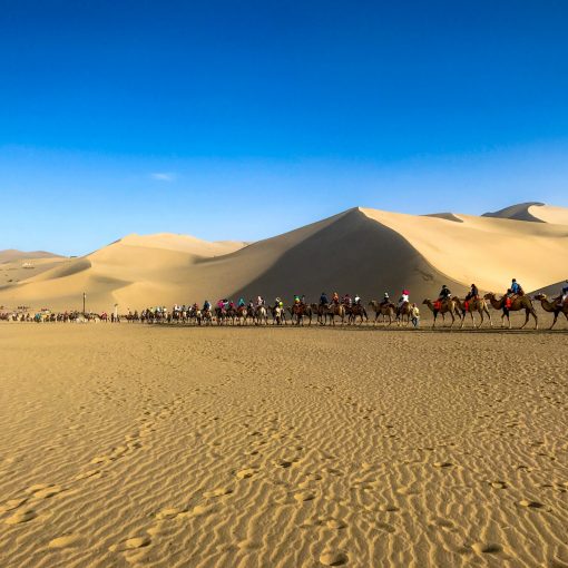 DDCommunity: The Israelites Thought They Had A Better Plan