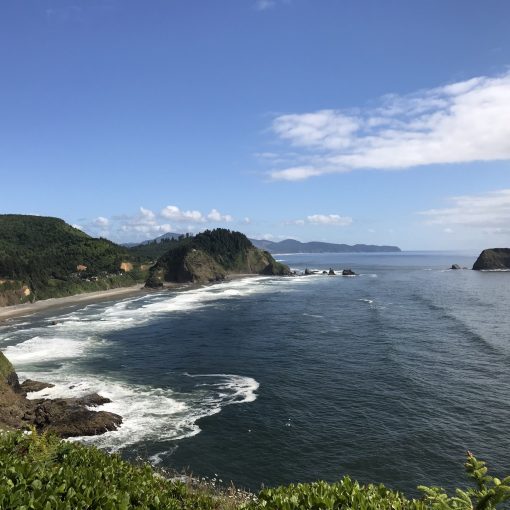 DDCommunity: How to resolve guilt, shame, and fear.