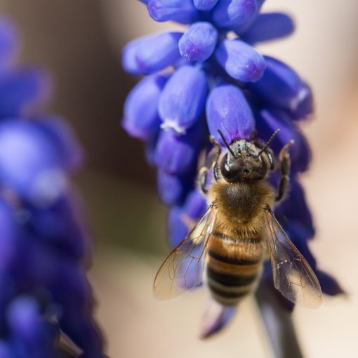 DDCommunity: Understanding the Best Reason for Spiritual Industry