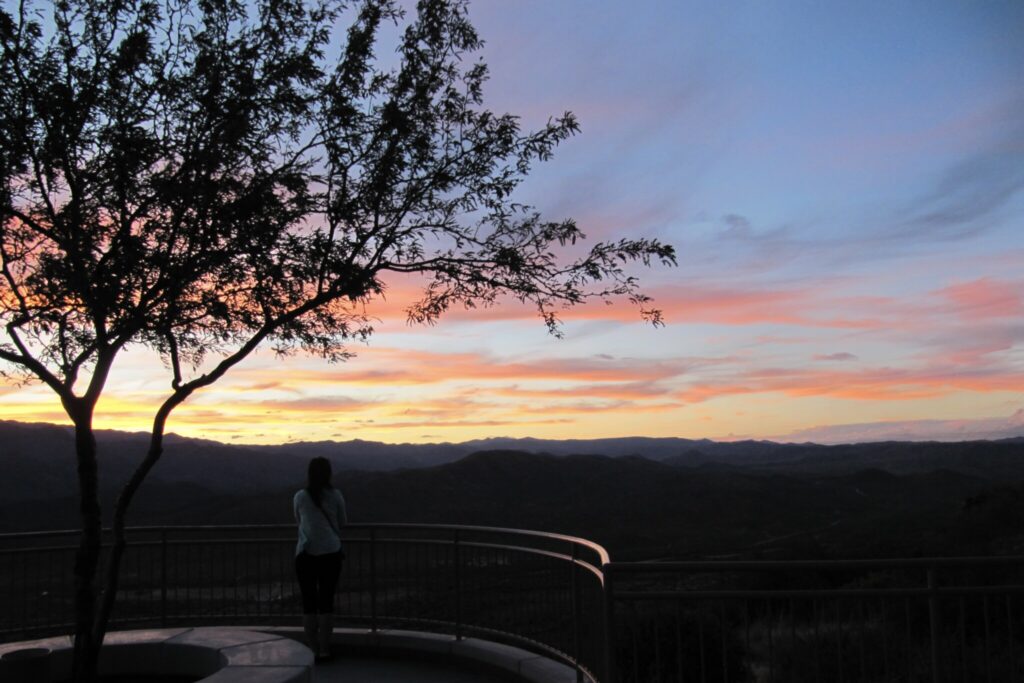 DDCommunity: Got Plans to Study through the Bible this Year?