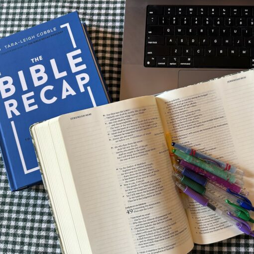 2025 DDCommunity Bible study challenge icon